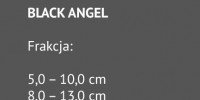 BLACK ANGEL_f