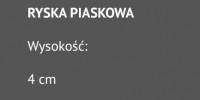 RYSKA PIASKOWA_w